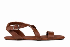 Women's Ahinsa Hava Barefoot Sandals Brown | AMS3669HN