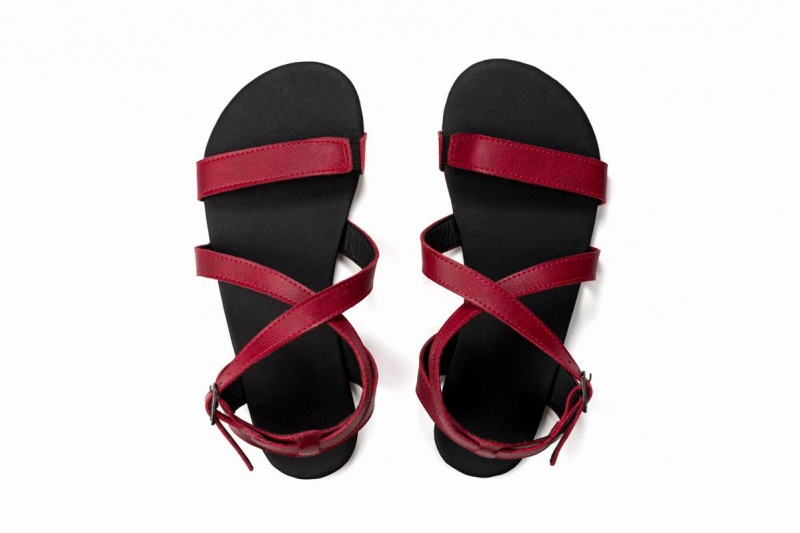 Women's Ahinsa Hava Barefoot Sandals Burgundy | CDH2292WX